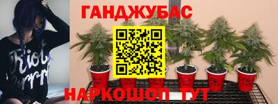 МДМА Жуковский